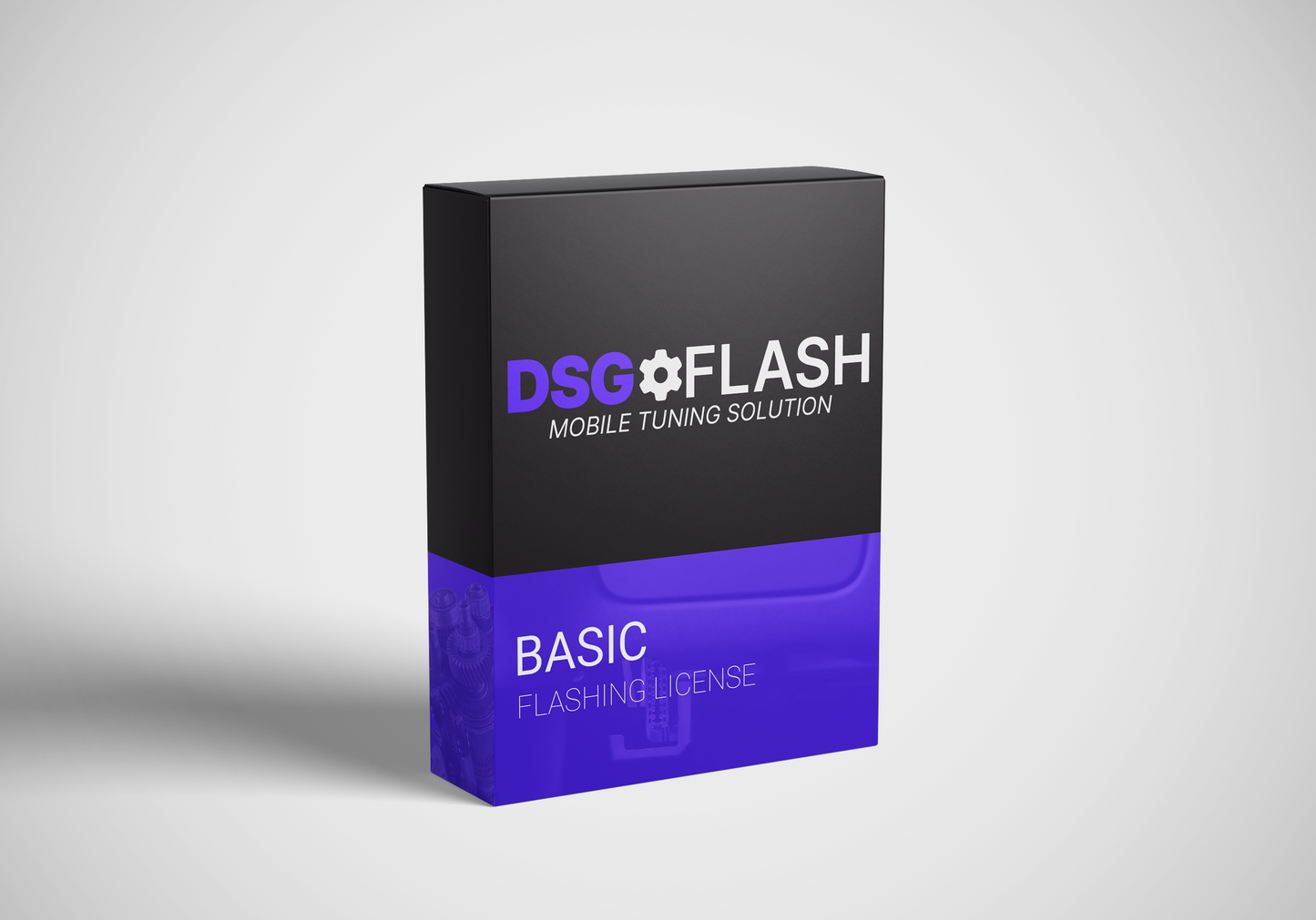 Basic Flash License - DQ381